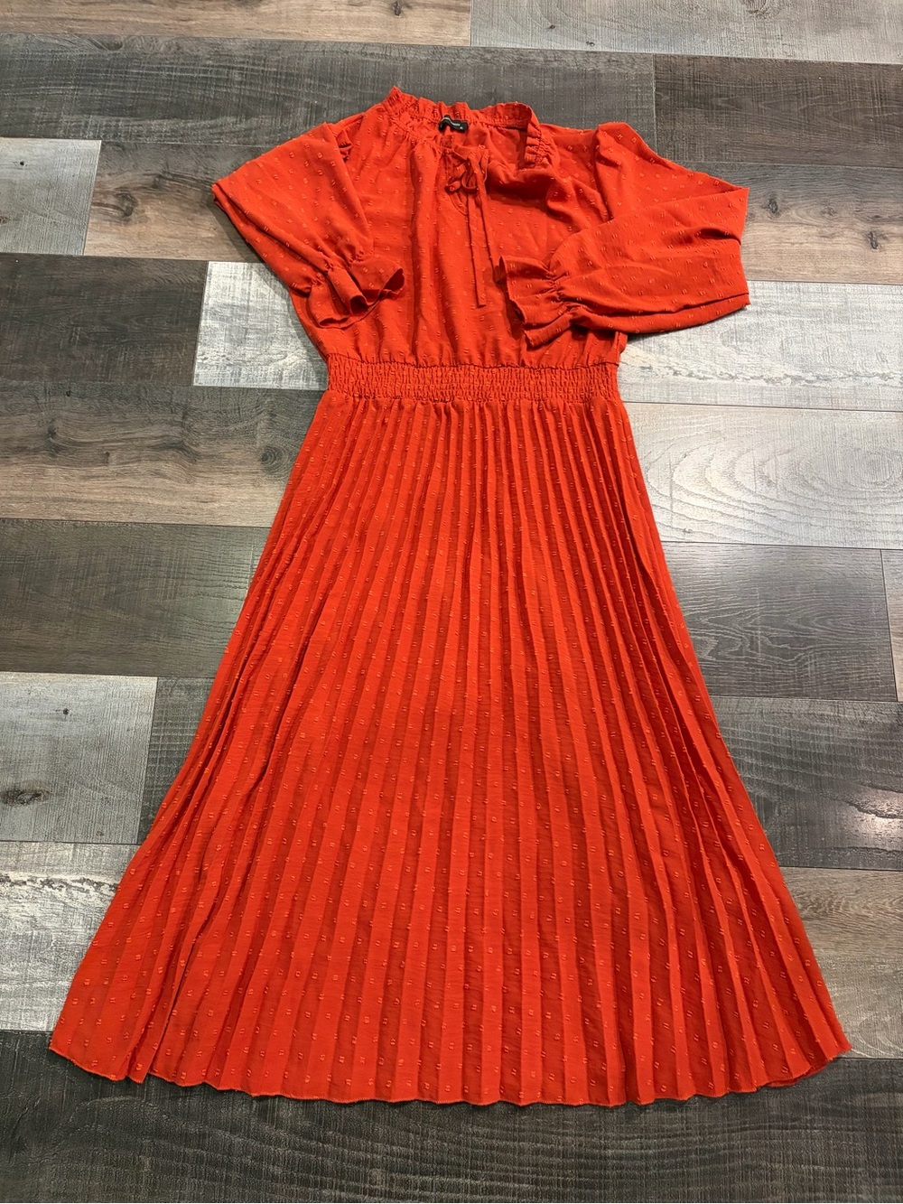 PRETTYGARDEN XL Rust Swiss Dot Pleated Maxi Dress Long Sleeve